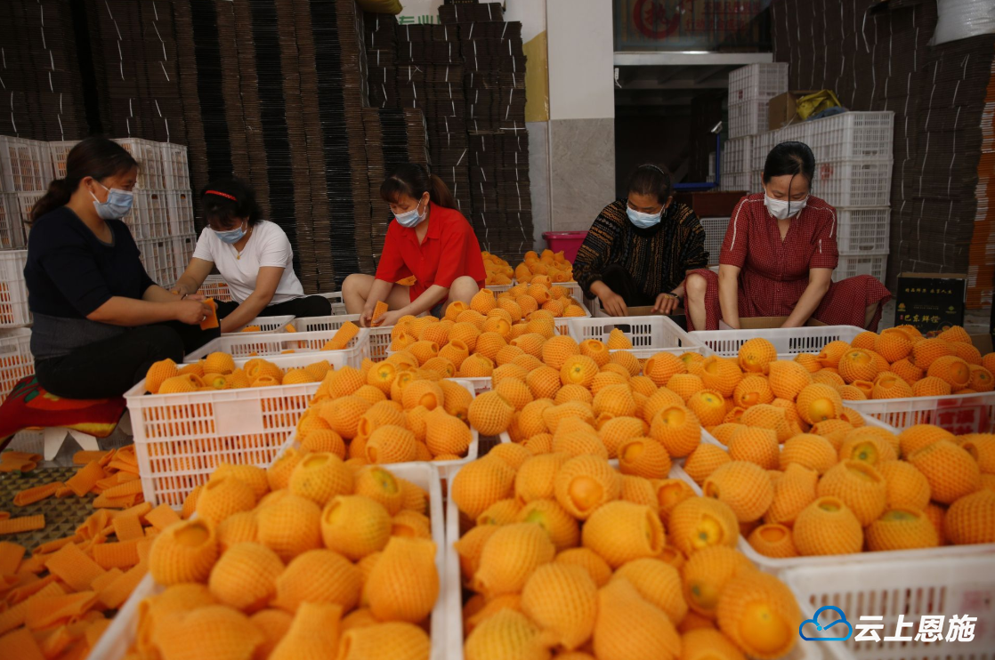 富硒农副产品好做吗（农副富硒好做产品吗）-硒宝网