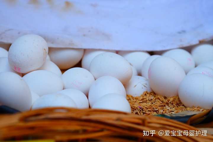 哺乳期补钙的食物有哪些(哺乳补钙)-硒宝网