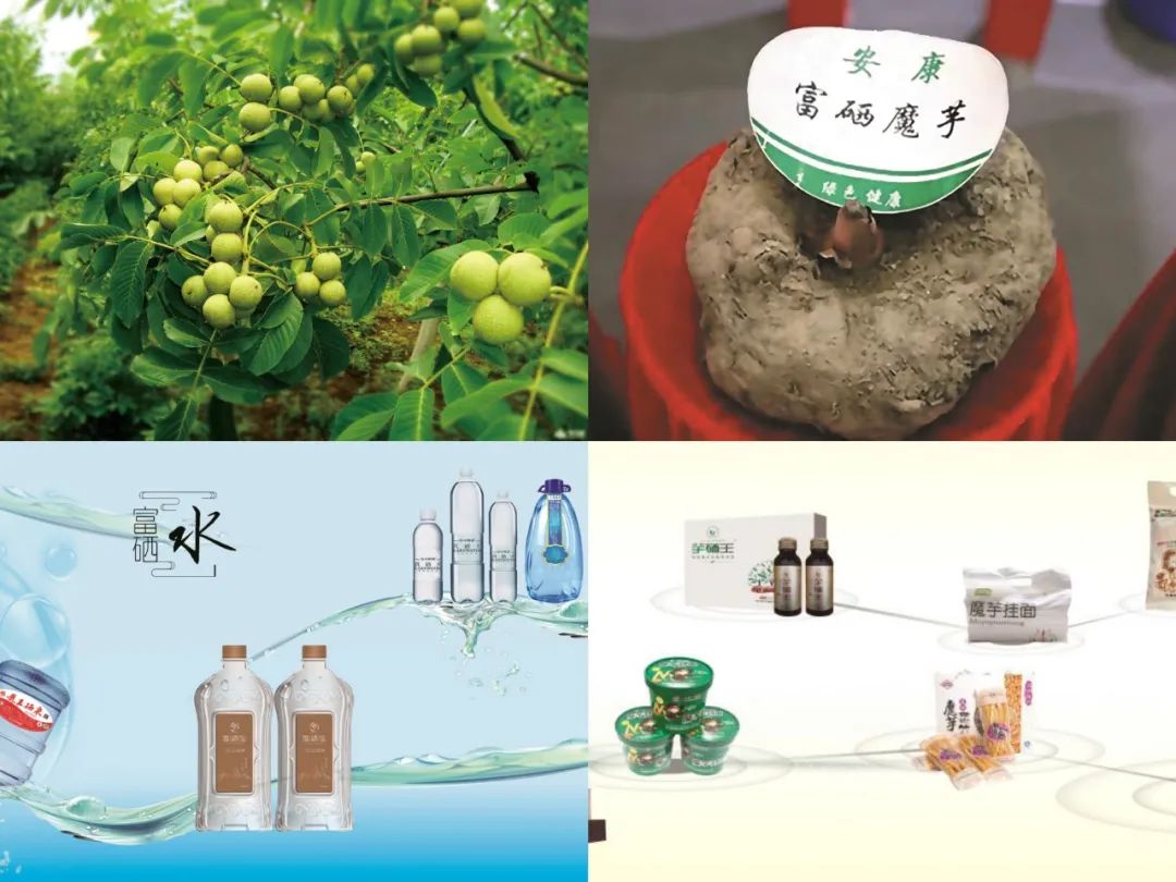 安康富硒绞股蓝产品（恩施的绞股蓝富硒茶多少钱）-硒宝网