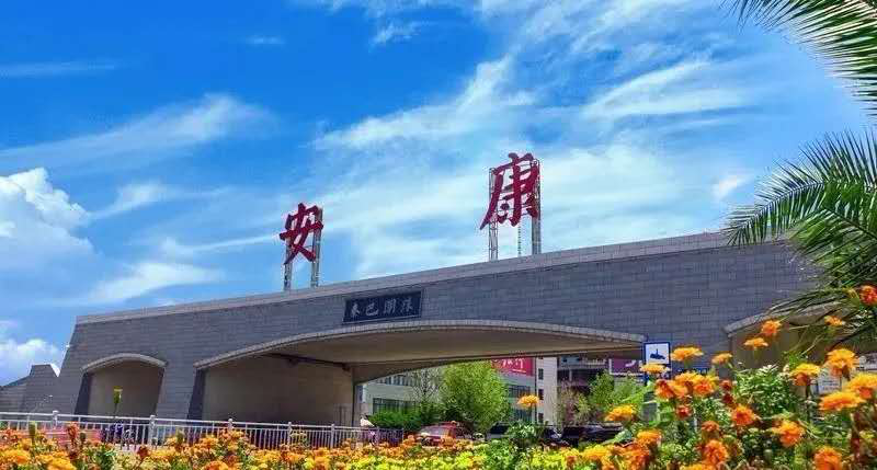 安康富硒绞股蓝产品（恩施的绞股蓝富硒茶多少钱）-硒宝网