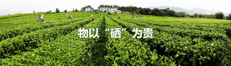 绿色富硒产品有哪些(绿色富硒产品有哪些品牌)-硒宝网