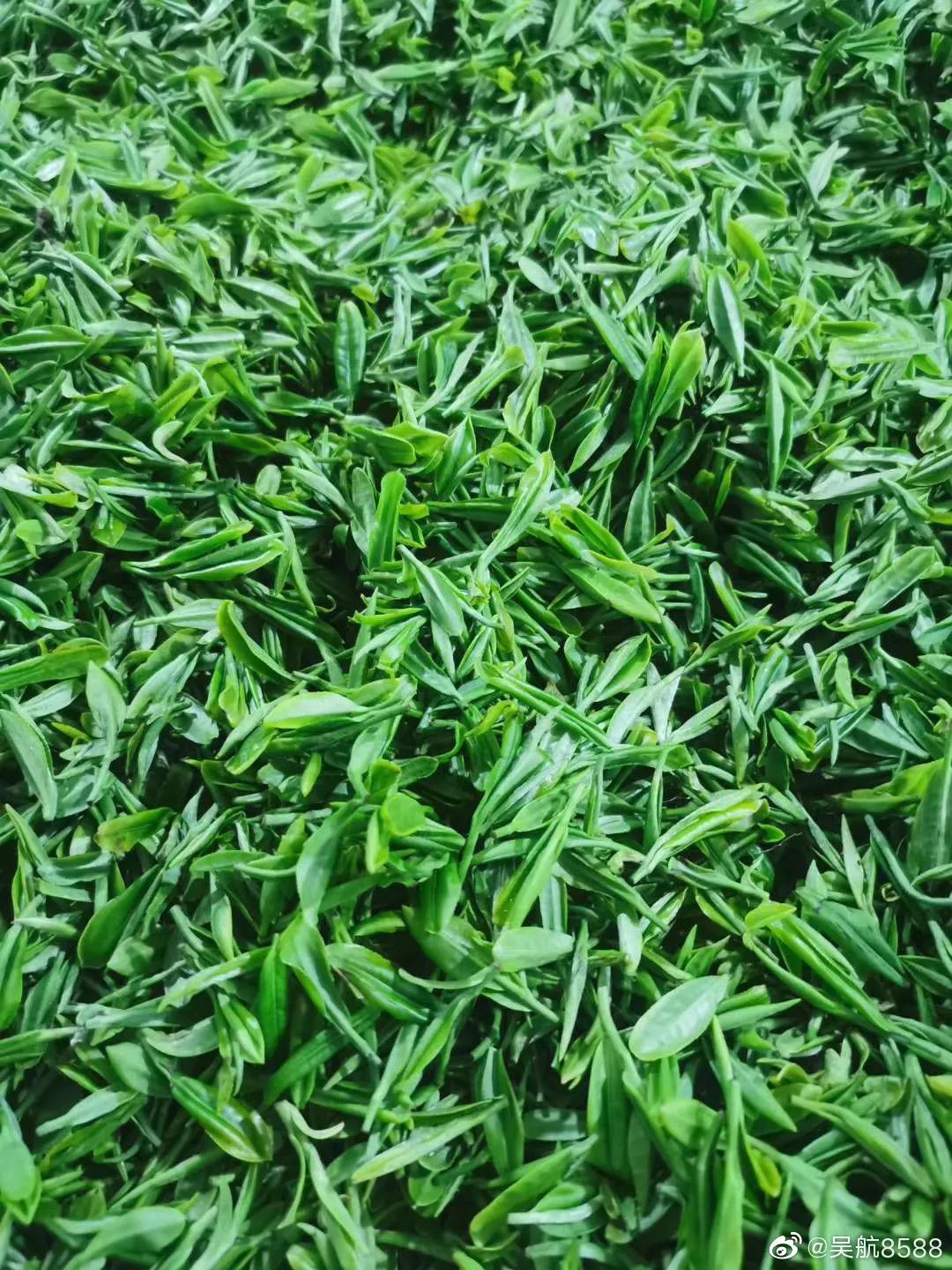 英山富硒产品有哪些(富硒产品是传销吗)-硒宝网