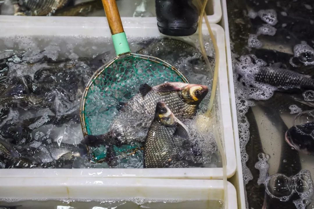 英山富硒产品有哪些(富硒产品是传销吗)-硒宝网