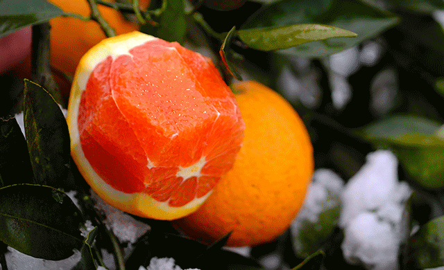 英山富硒产品有哪些(富硒产品是传销吗)-硒宝网