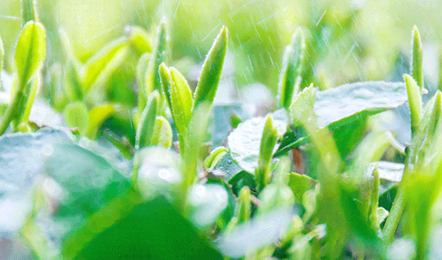 英山富硒产品有哪些(富硒产品是传销吗)-硒宝网