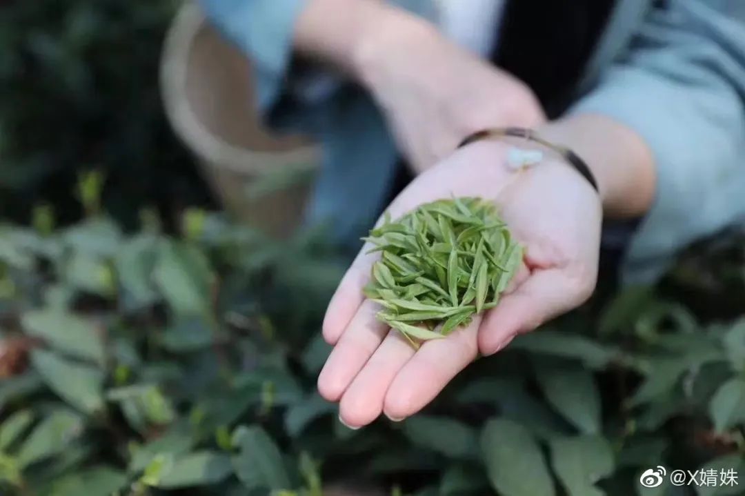 英山富硒产品有哪些(富硒产品是传销吗)-硒宝网