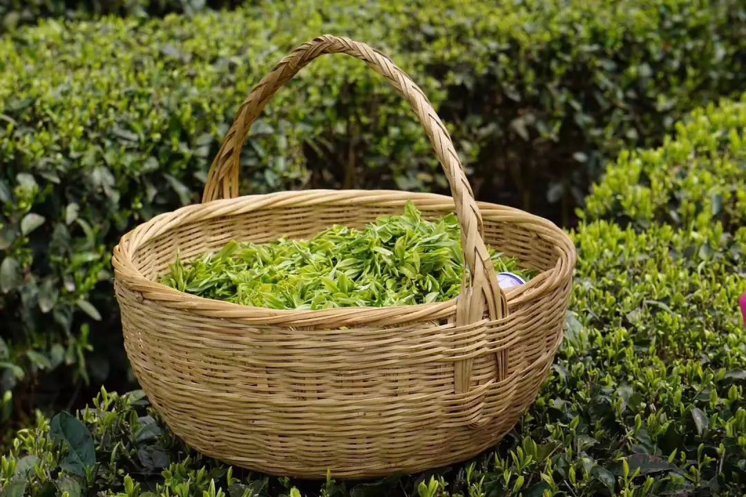 英山富硒产品有哪些(富硒产品是传销吗)-硒宝网