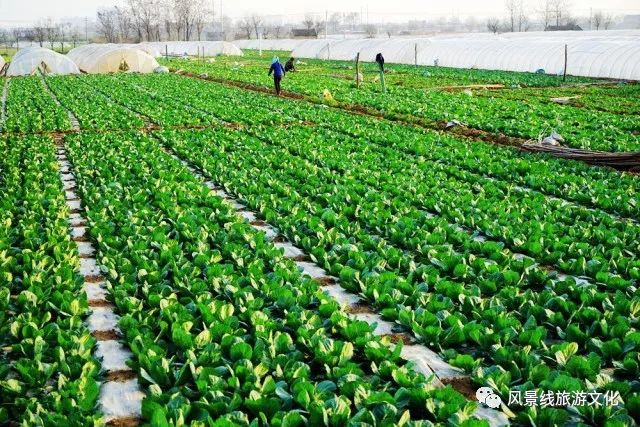 销售富硒产品的平台(销售富硒平台产品怎么做)-硒宝网