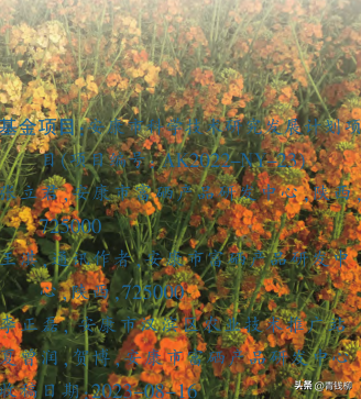 安康富硒产品的优势（安康富硒区域品牌）-硒宝网