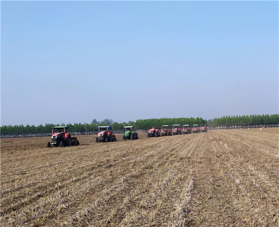 郏县汝河湾富硒产品（郏县富硒农产品）-硒宝网