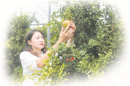 淄博有哪些富硒产品(淄博富硒土地)-硒宝网