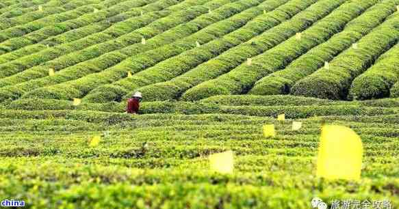 富硒产品都是些什么(富硒产品是真的吗)-硒宝网