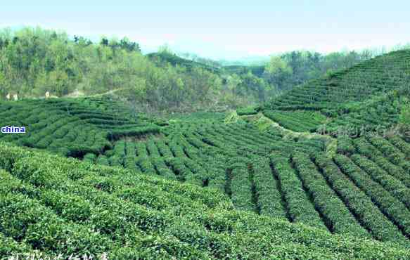 富硒产品都是些什么(富硒产品是真的吗)-硒宝网