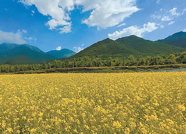 富硒产品的研究目的（富硒产品的调查和分析）-硒宝网
