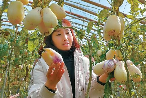 富硒产品的研究目的（富硒产品的调查和分析）-硒宝网