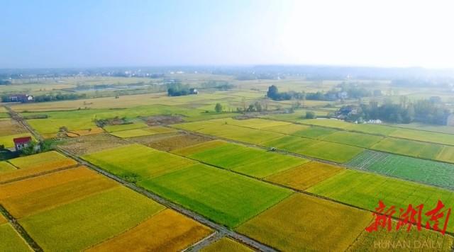 富硒产品到那里检验（富硒产品怎么检验）-硒宝网