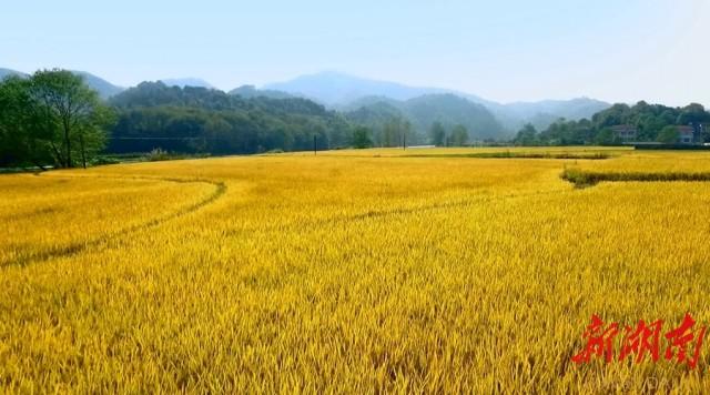 富硒产品到那里检验（富硒产品怎么检验）-硒宝网