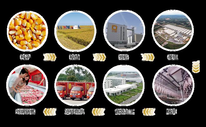 桃源富硒蛋产品批发（桃源富硒蛋价格）-硒宝网