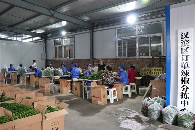 富硒产品开发及加工（富硒产品如何生产）-硒宝网