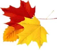 富硒农产品  市?。ǜ晃┎肥谐」婺＃?硒宝网