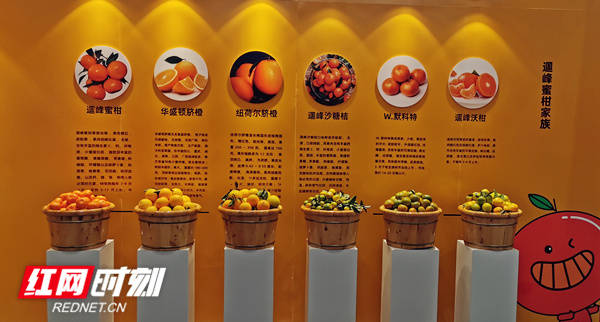 地理标志产品富硒面（什么是富硒地）-硒宝网