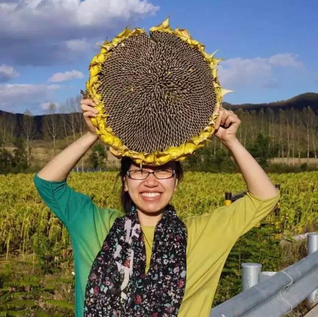 胆维丁乳补钙效果好吗(胆维丁乳配合什么钙吃好)-硒宝网