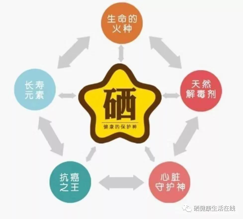 富硒产品开发及加工(富硒原料生产厂家)-硒宝网