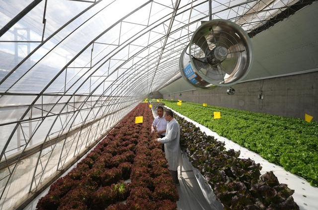 新疆富硒产品有哪些(新疆富硒产品有那些品牌)-硒宝网