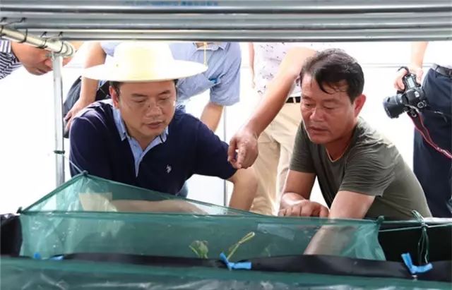 富硒产品基地有哪些(基地富硒产品有哪些)-硒宝网