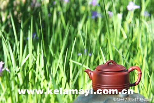 富硒产品怎么发说说（富硒产品的好处）-硒宝网