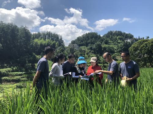 关于富硒产品的问卷(问卷富硒产品怎么做)-硒宝网