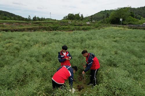 关于富硒产品的问卷(问卷富硒产品怎么做)-硒宝网