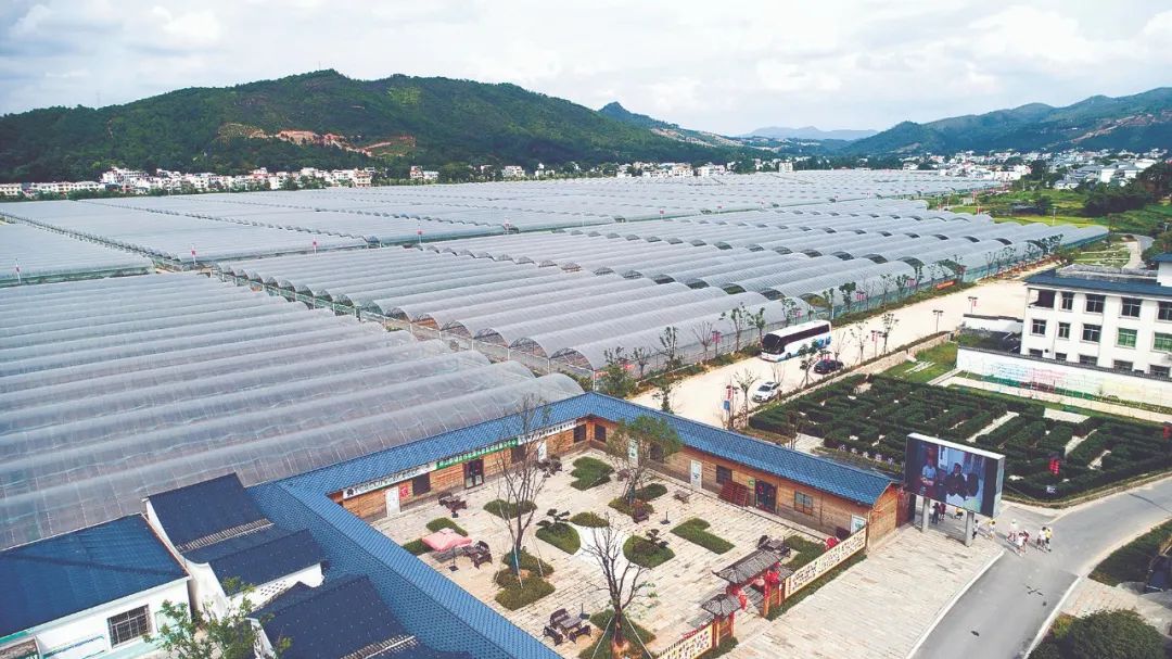 富硒产品的话剧宣传(富硒产品宣传语)-硒宝网