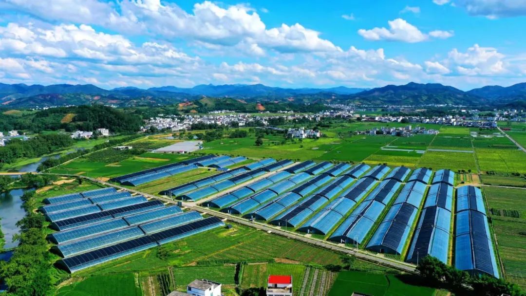 富硒产品的话剧宣传(富硒产品宣传语)-硒宝网