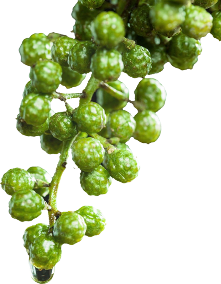 富硒产品怎么发说说(说说发富硒产品的句子)-硒宝网