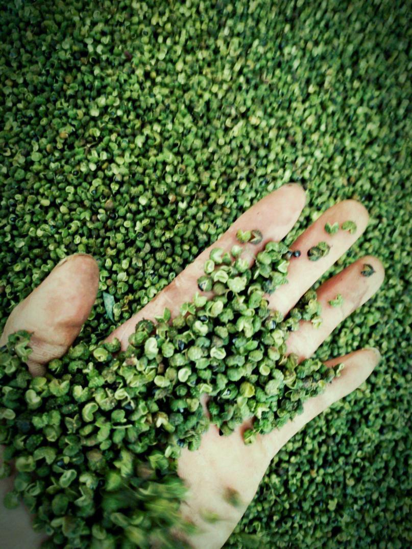 富硒产品怎么发说说(说说发富硒产品的句子)-硒宝网