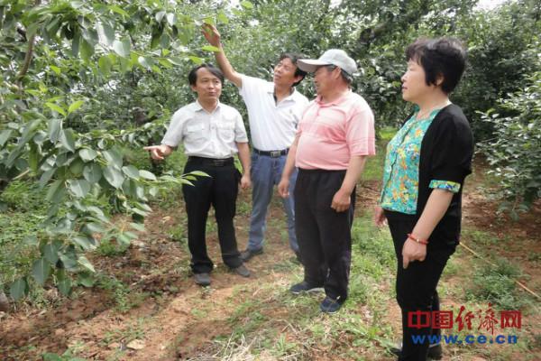 富硒产品 发展前景(富硒产业发展前景)-硒宝网