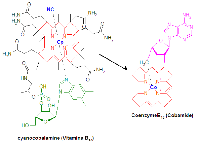 补微量元素吃什么药好(补充微量元素的药都有哪些)-硒宝网