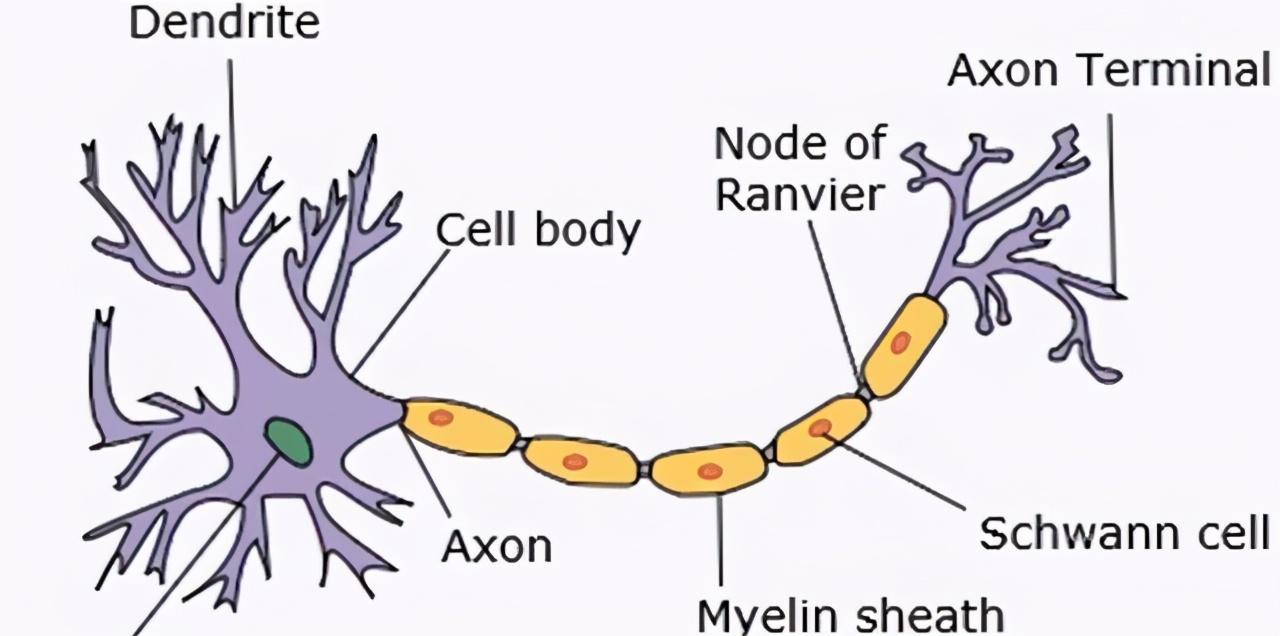 补微量元素吃什么药好(补充微量元素的药都有哪些)-硒宝网