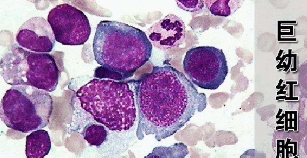 补微量元素吃什么药好(补充微量元素的药都有哪些)-硒宝网