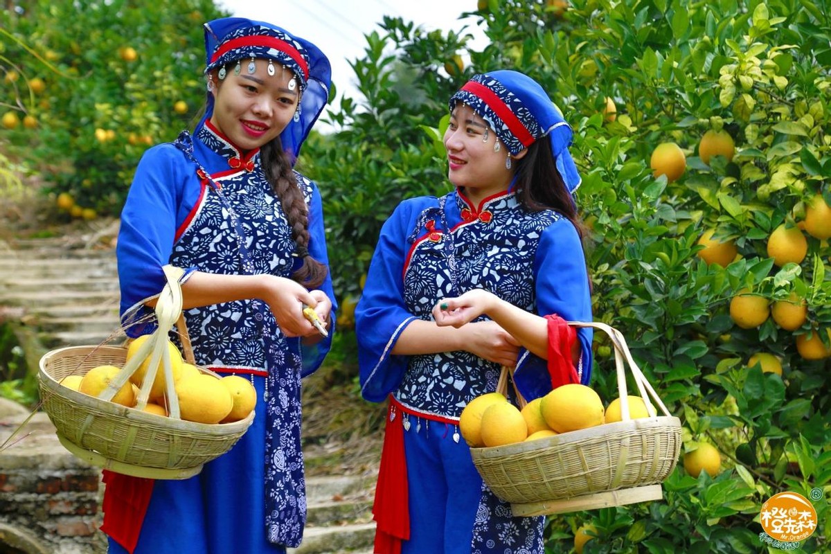 寿宁富硒富锌农产品（寿宁富硒大米）-硒宝网