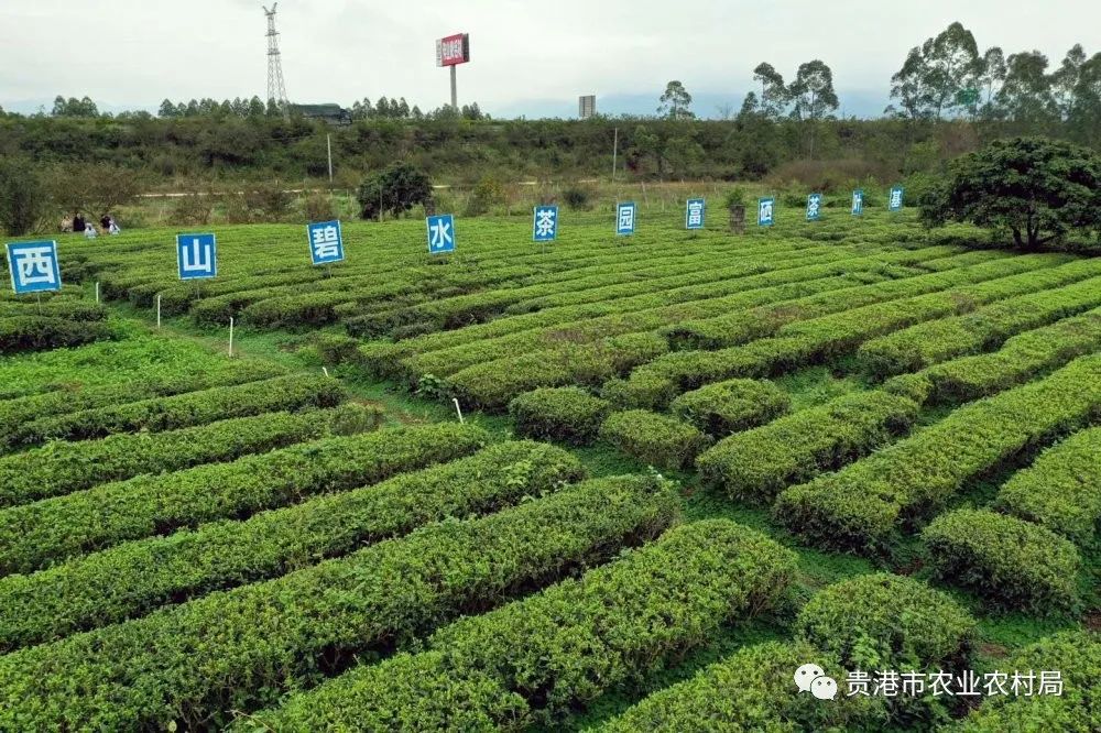 贵港市富富硒农产品(贵港富硒农产品协会)-硒宝网