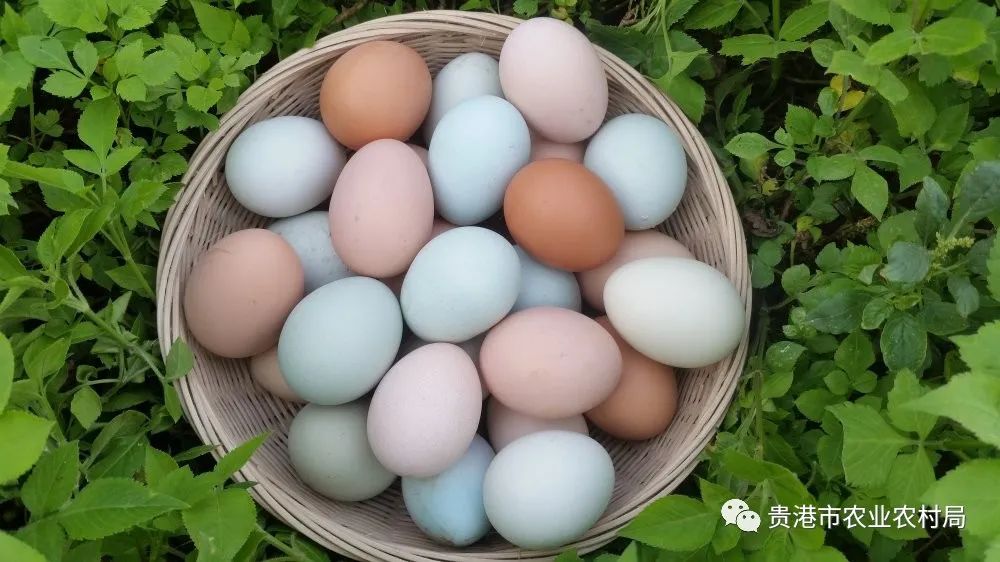 贵港市富富硒农产品(贵港富硒农产品协会)-硒宝网