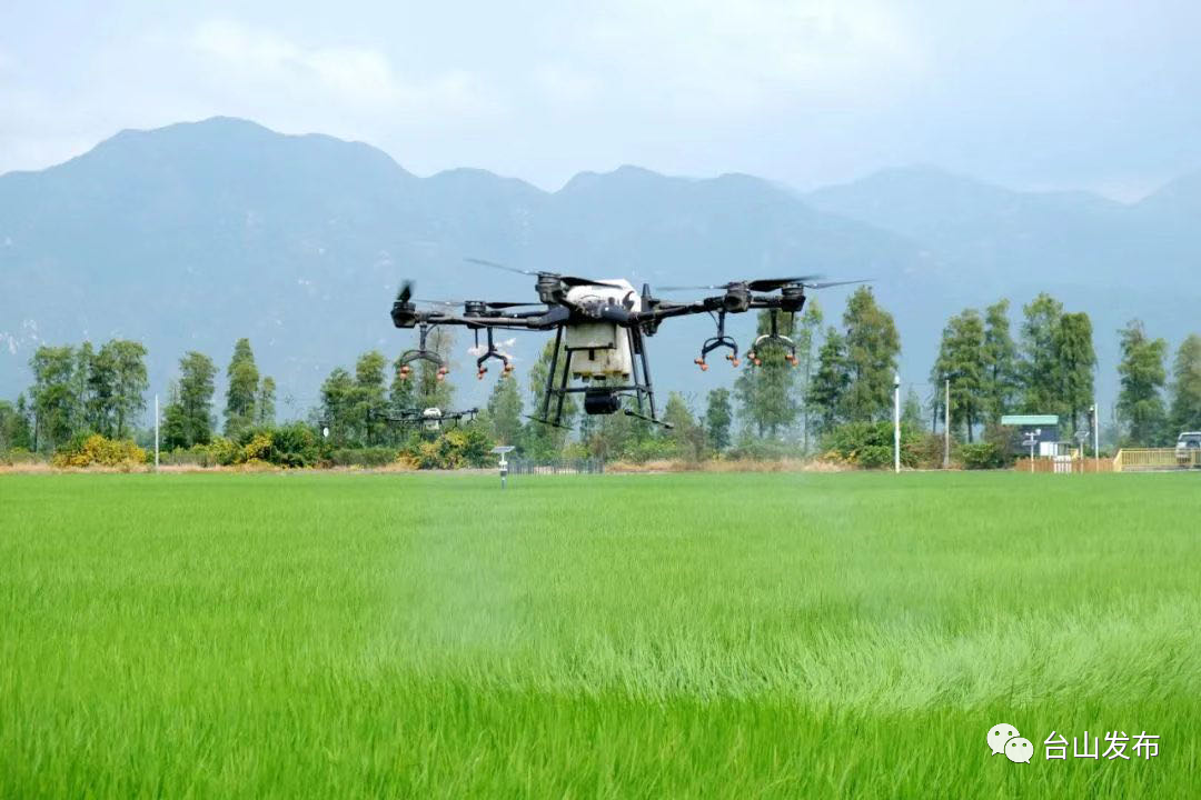 台山富硒产品有哪些(台山富硒温泉度假村)-硒宝网