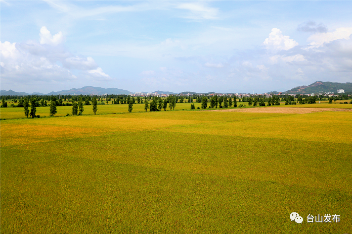 台山富硒产品有哪些(台山富硒温泉度假村)-硒宝网