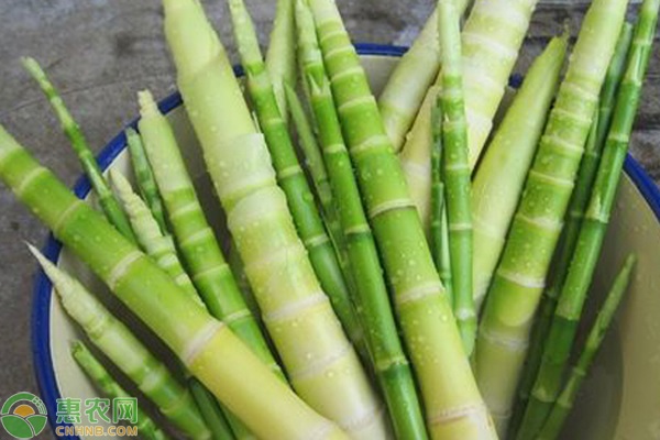 江西宜春富硒农产品（江西宜春富硒农产品有哪些）-硒宝网