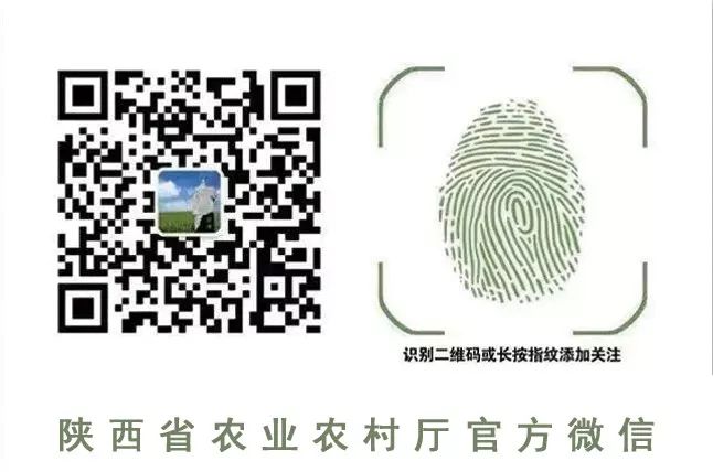 安康富硒农产品交易(安康富硒征集揭晓)-硒宝网