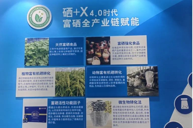 恩施富硒农产品广告(恩施富硒产品是传销吗)-硒宝网