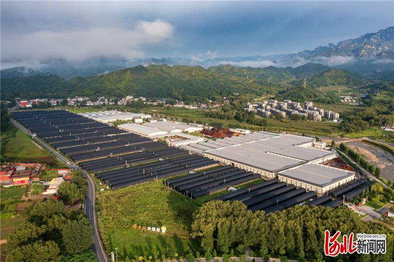 河北保定农产品富硒(河北富硒带)-硒宝网