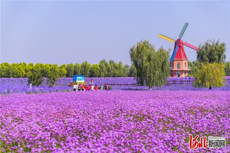 河北保定农产品富硒(河北富硒带)-硒宝网